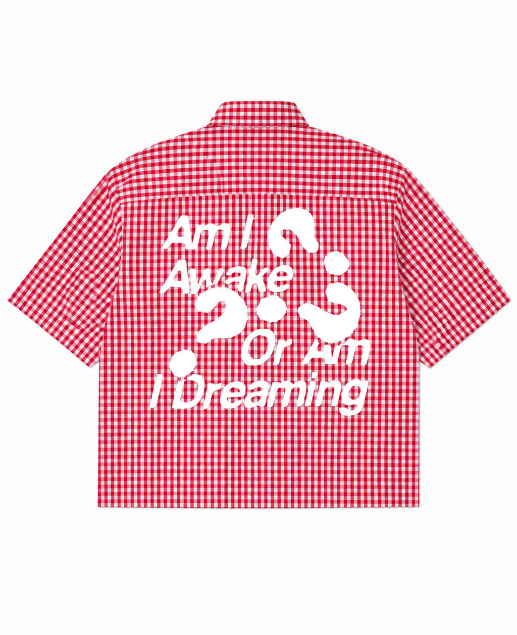 Red Picnic Oxford Boxy Shirt Back Design