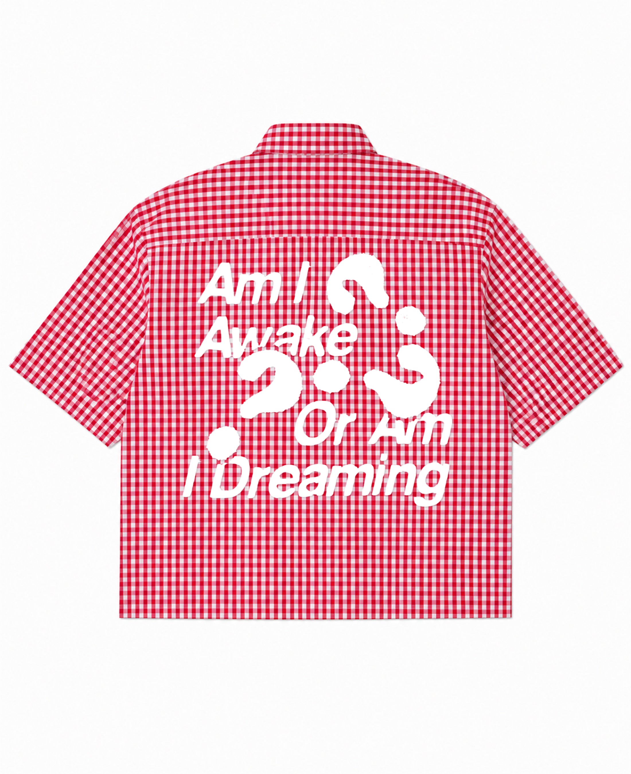 Red Picnic Oxford Boxy Shirt Back Design